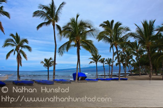 Cabanas and palm trees